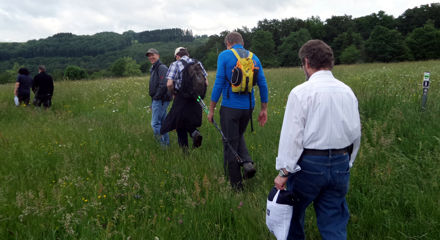 Wandertag 2016